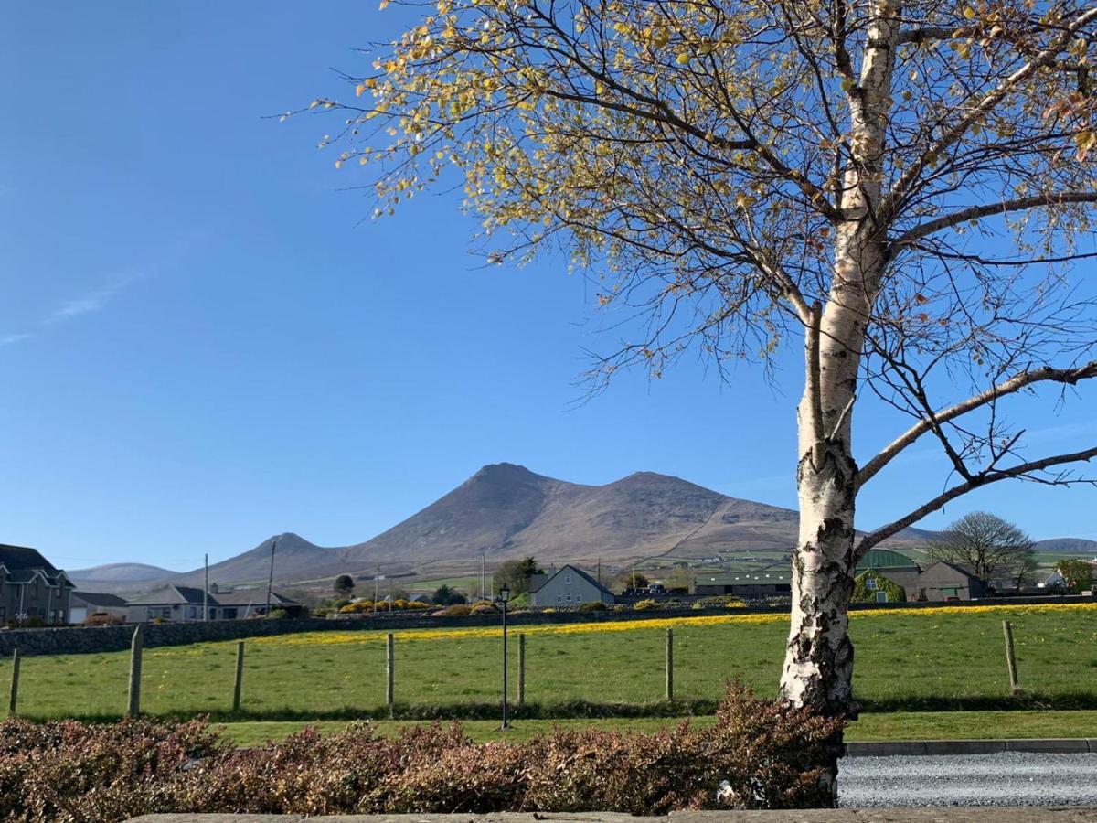 Lovely 2-Bed Cottage At The Foot Of The Mournes Newry Extérieur photo
