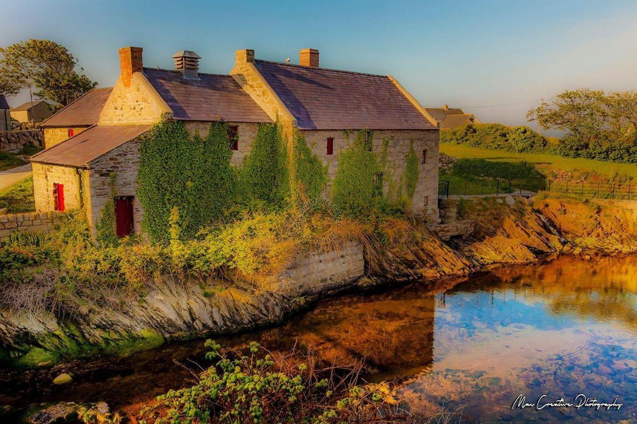 Lovely 2-Bed Cottage At The Foot Of The Mournes Newry Extérieur photo